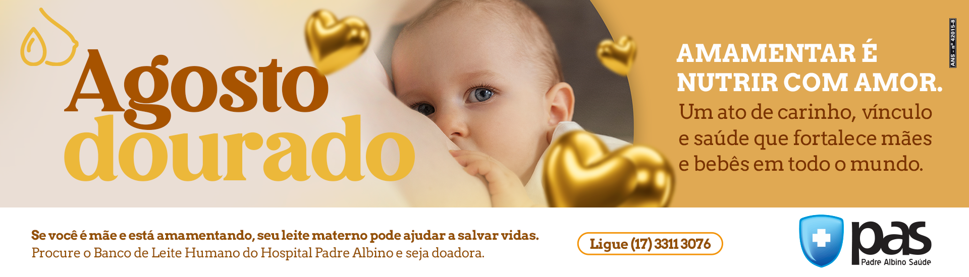 agosto dourado