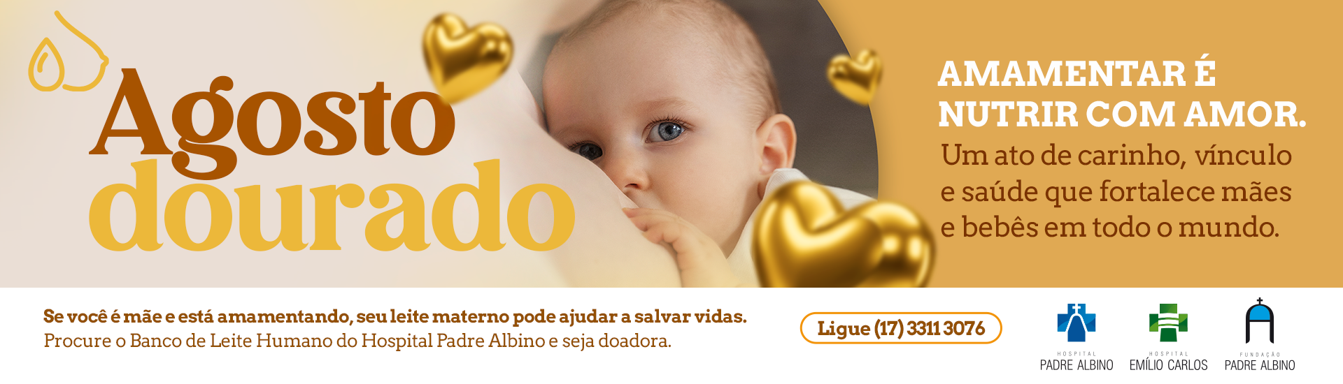 agosto dourado